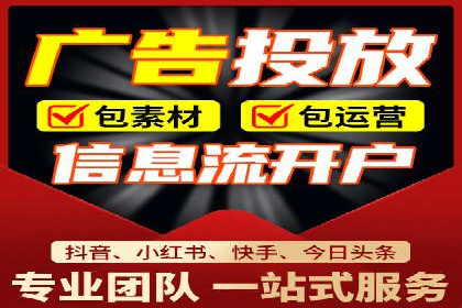 谷歌SEM案例研究：数据分析与效果评估