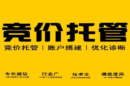 行业趋势下的SEM竞价代运营策略及成功实例